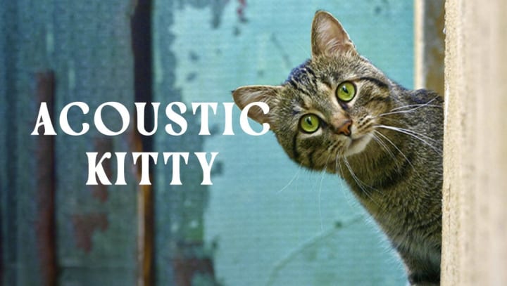 Acoustic Kitty