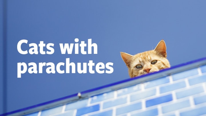 Cats with parachutes_DE_EN