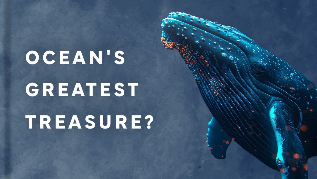 Is this the most valuable thing in the ocean?