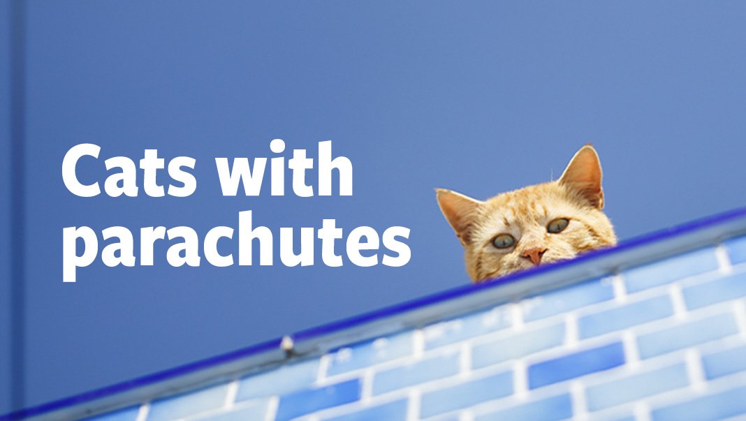 Cats with parachutes_DE_EN