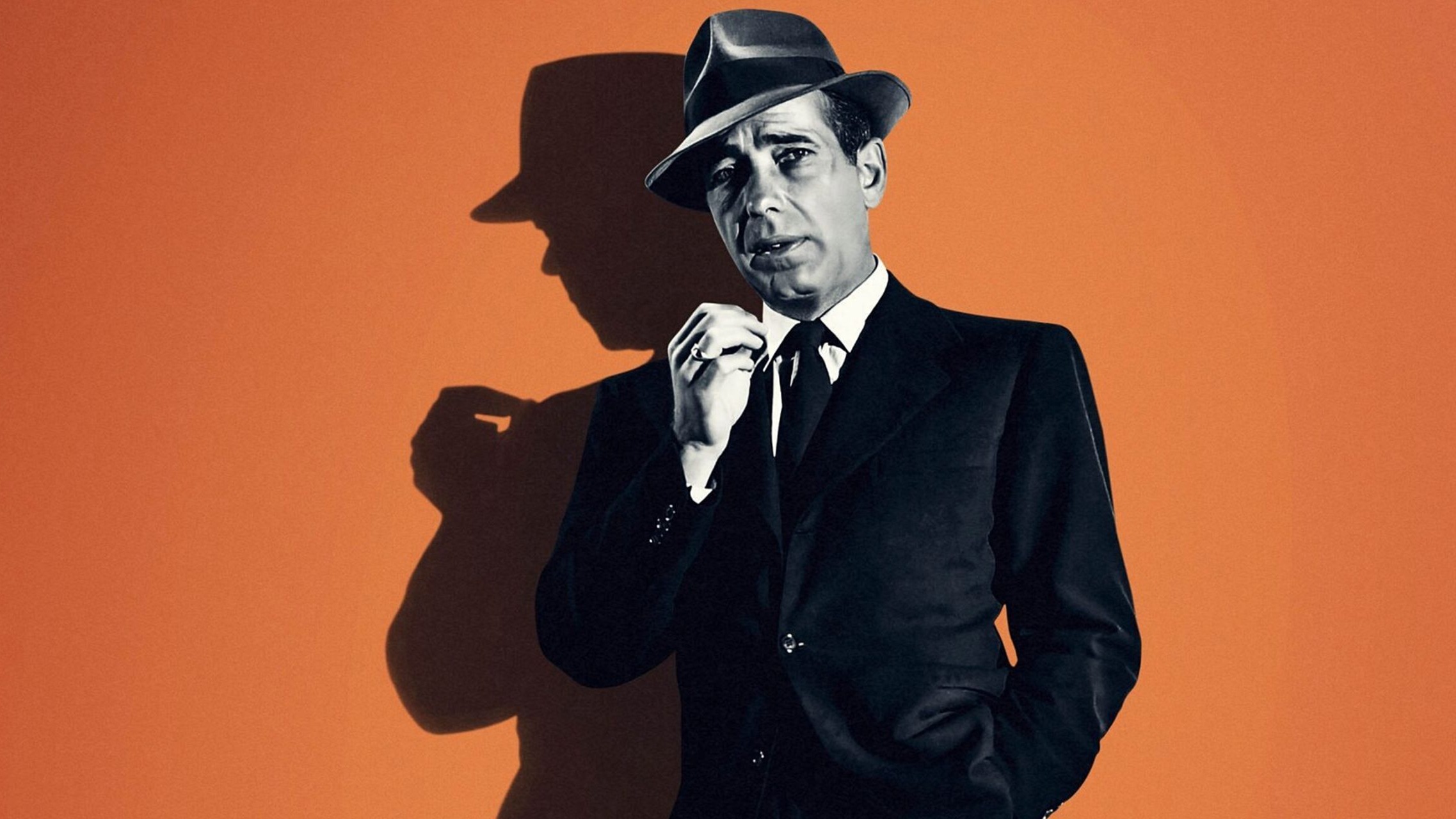 Bogart: Life Comes in Flashes